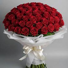 Букет 101 Красная роза Блэк Мэджик #REPLACE_PRED# Иловле