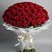 Букет 101 Красная роза Блэк Мэджик в Иловле
