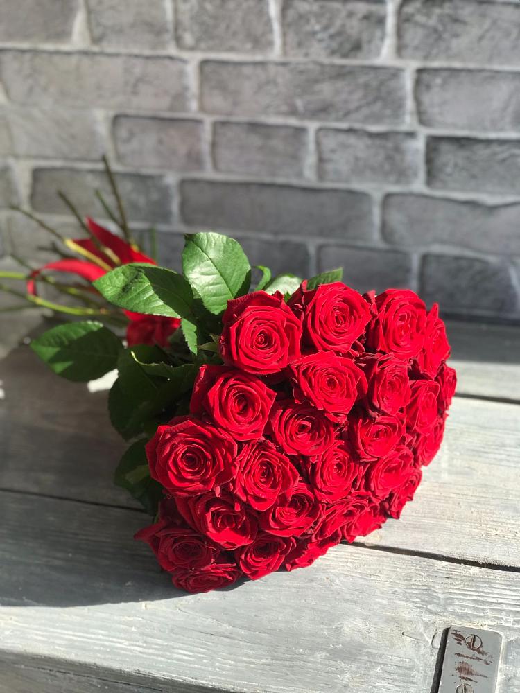 Букет Красные розы Фридом в Иловле