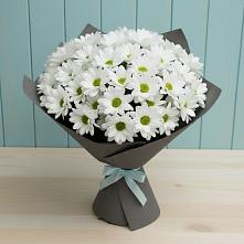 Букет цветов из:  Хризантемы в Иловле