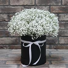 Цветочная композиция из Гипсофила в шляпной коробке #REPLACE_PRED# Иловле