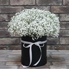 Цветочная композиция из Гипсофила в шляпной коробке в Иловле