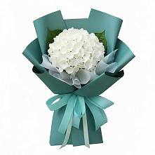 Букет цветов из:  Гортензия #REPLACE_PRED# Иловле